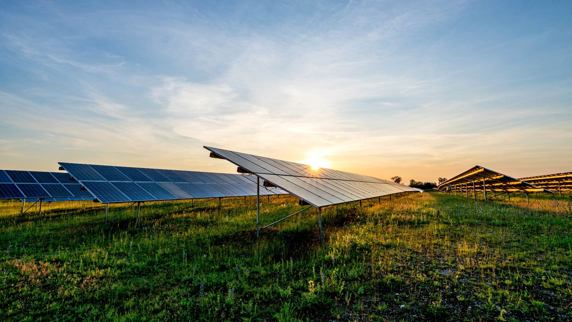 Solar panels in an open field reflect the warm light of the setting sun